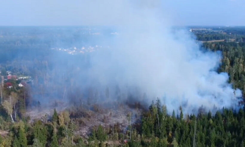 Недалеко от СНТ «Буреломка» горит лес