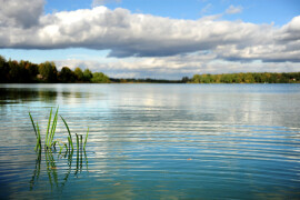 Минэкологии Московской области устанавливает охранную зону заповедного озера в Богородском округе
