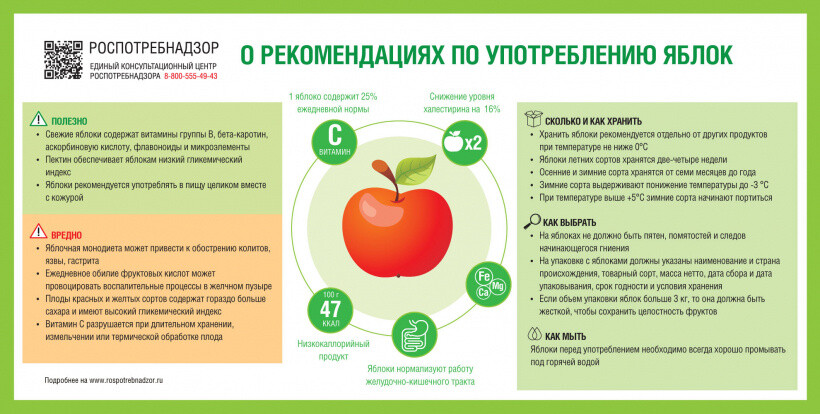 Чем полезны яблоки и как их правильно выбирать