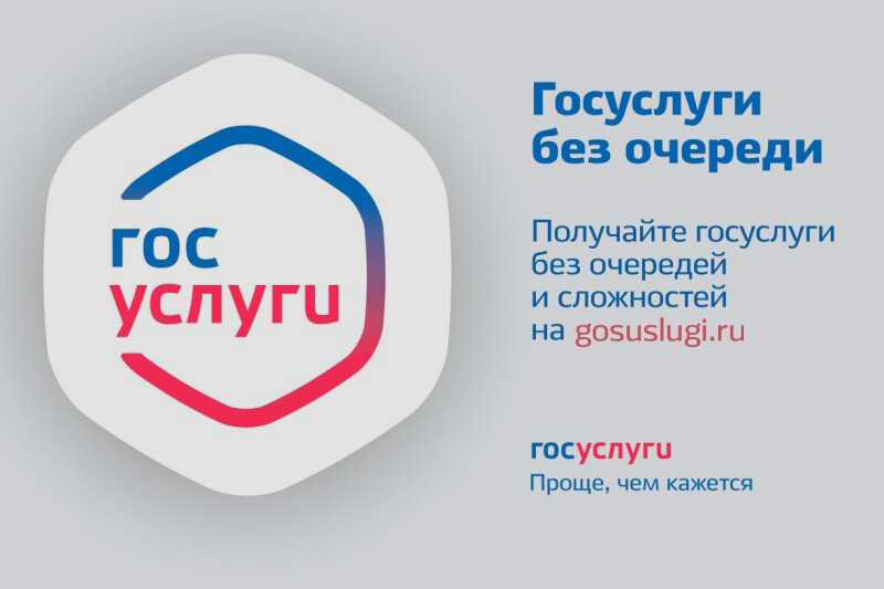 Какие услуги МУ МВД России «Ногинское» жители Богородского округа могут получить в электронном виде