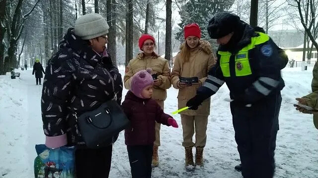Гулять, играть без происшествий. Госавтоинспекторы в Ногинске провели акцию «Безопасная зима»