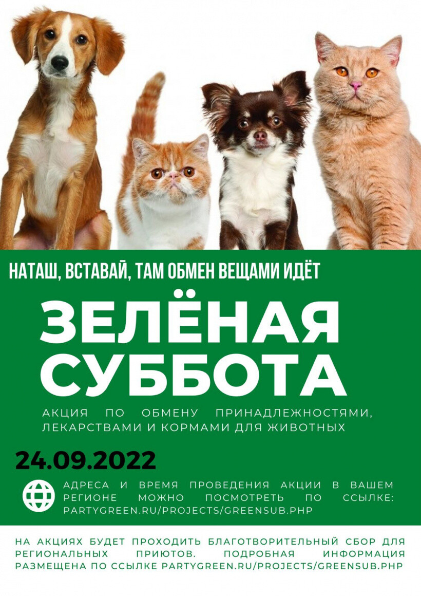 Благотворительная акция для животных «Зелёная суббота» пройдёт в Ногинске