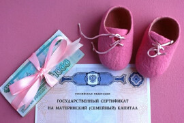 280 тыс. семей получают Ежемесячную выплату из материнского капитала